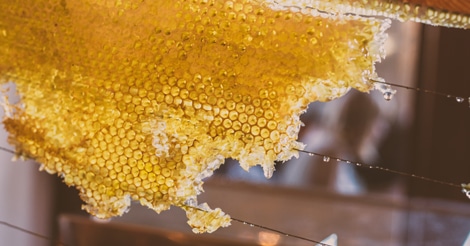 Nature’s Raw Honey is the sweet liquid that honeybees produce from the concentrated nectar of flowers. It is unheated and unprocessed honey.