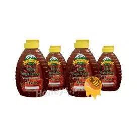 Mt. Apo Honey 350mL (4 Fliptop Bottles, Reseller Package)