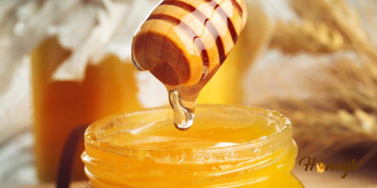You are currently viewing Eight Different Ways to Check Pure Honey