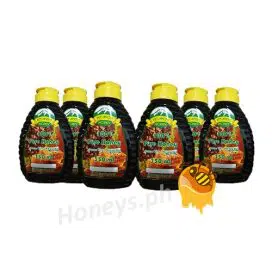 Mt. Apo Honey 350mL (24 Fliptop Bottles, Reseller Package)