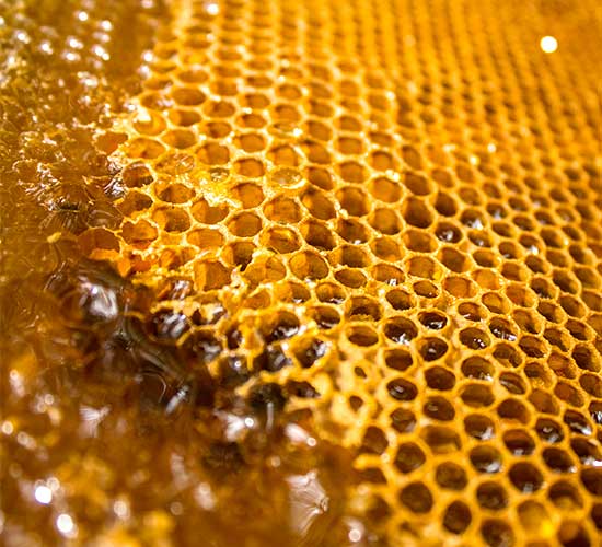 Honeycomb Philippines